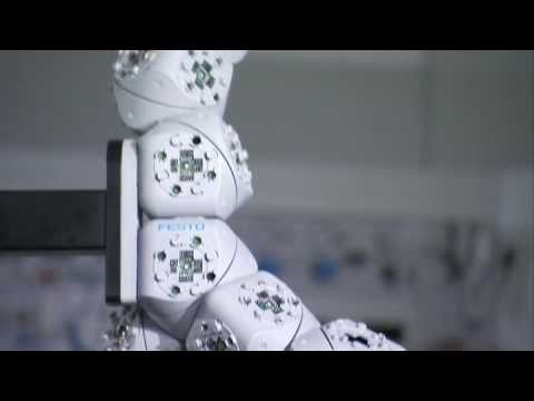 Festo - Molecubes