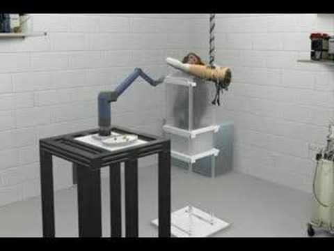 Monkey uses brain to control prothetic arm