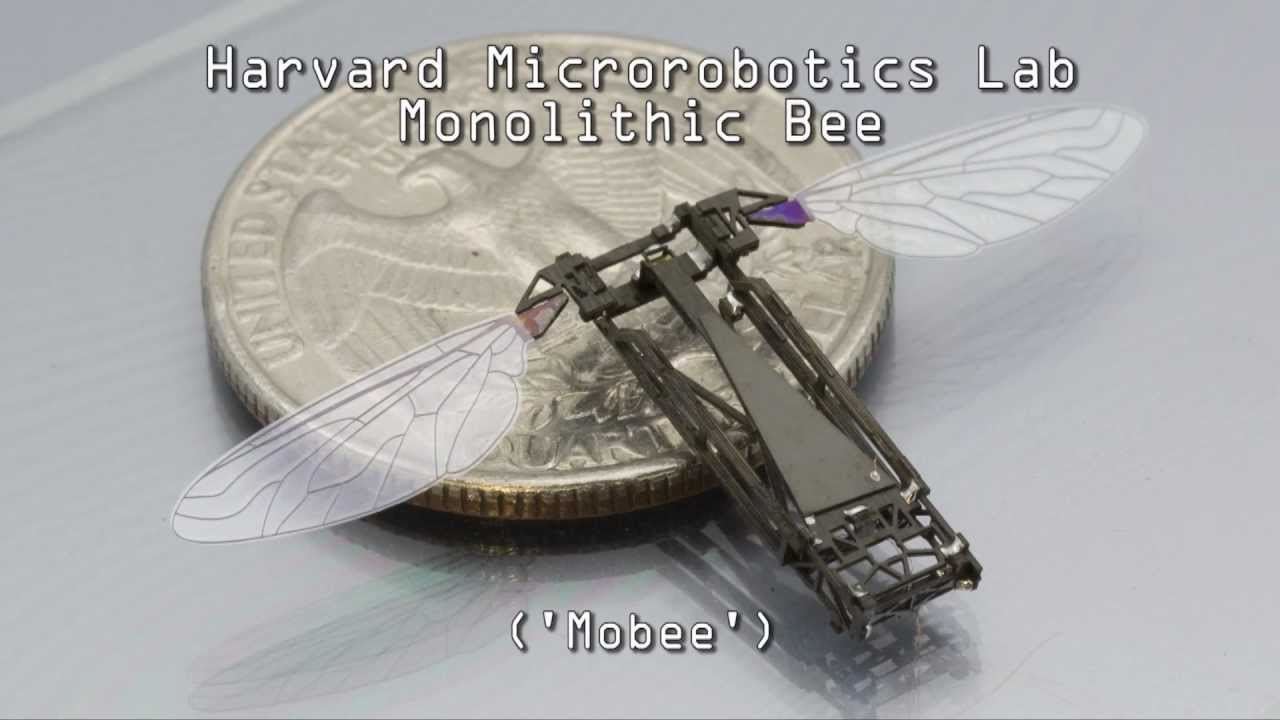 Pop-up Fabrication of the Harvard Monolithic Bee (Mobee)