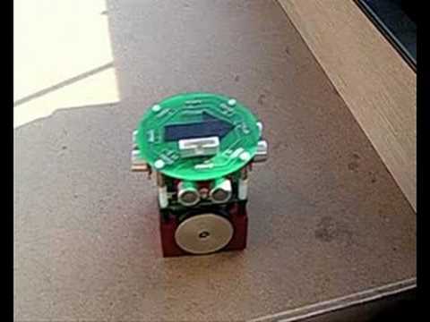 Robot with a rat brain