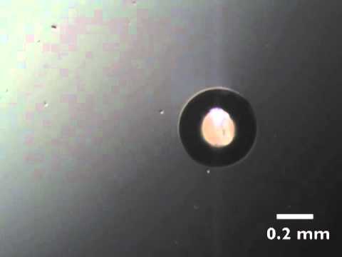 Optically Controlled Bubble Microrobot