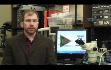 Bugs and Bots - Alper Bozkurt iBionics Engineering