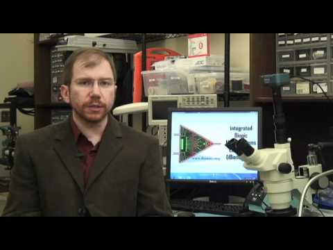 Bugs and Bots - Alper Bozkurt iBionics Engineering