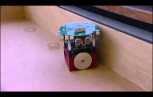 Robot with a BIOLOGICAL BRAIN