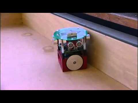 Robot with a BIOLOGICAL BRAIN