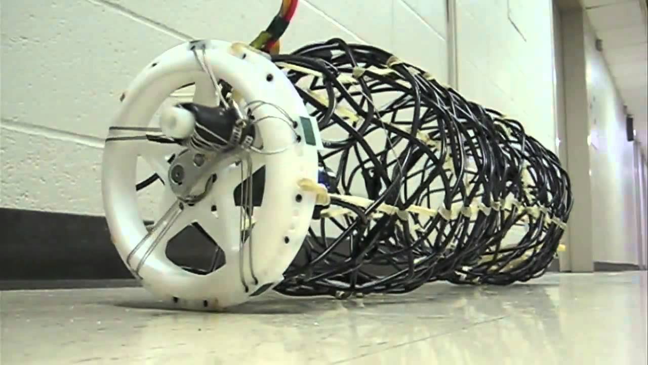 Special Locomotion - Peristaltic Locomotion Research