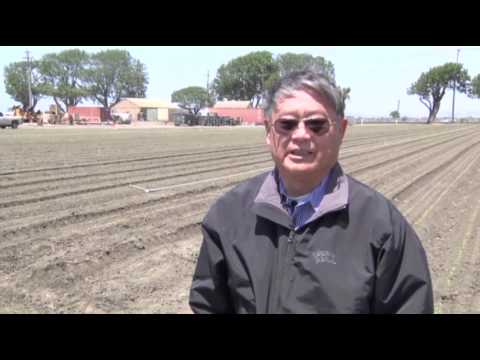 Robots Arrive on the Farm, Replace Human Hands