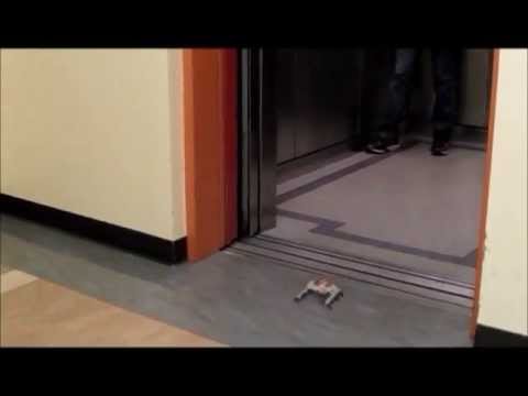 Acrobatics of STAR.V3 , UC Berkeley, a high speed 3D printed robot.