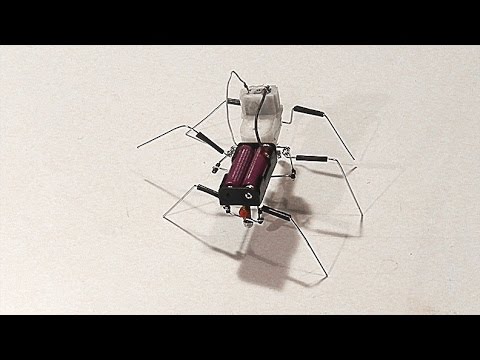 How to make a simple walking insect robot